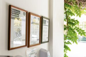 protocolos de seguridad geriátrico